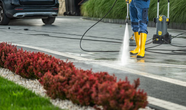 Best House Exterior Washing  in Abram, TX